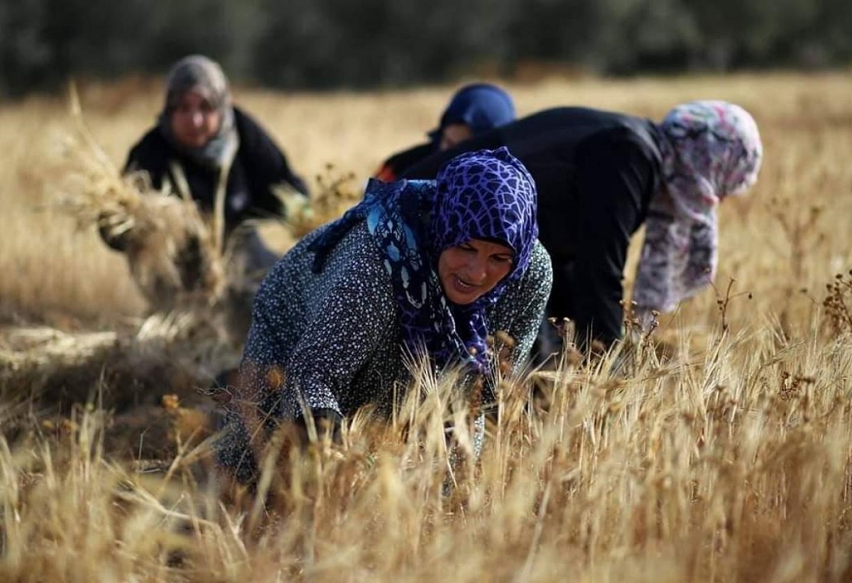 خطوات نحو التمكين: حصاد المرأة المصرية في عام 2021