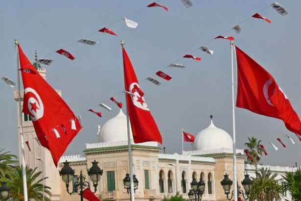 تونس ما بعد الاستفتاء على الدستور: قراءة في المشهد السياسي