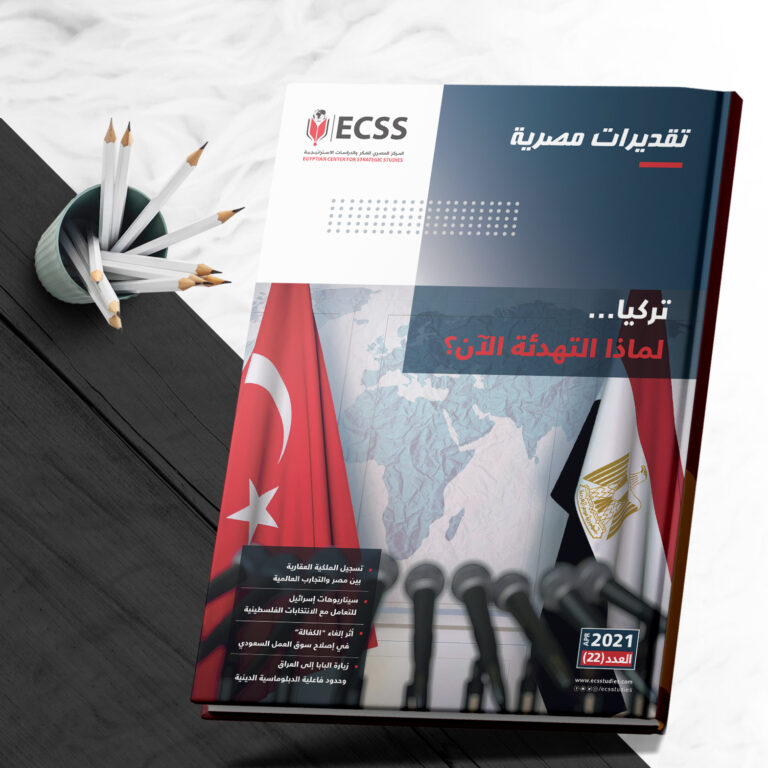 تقديرات مصرية 22 - تركيا.